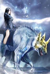 兵王沈浪苏若雪